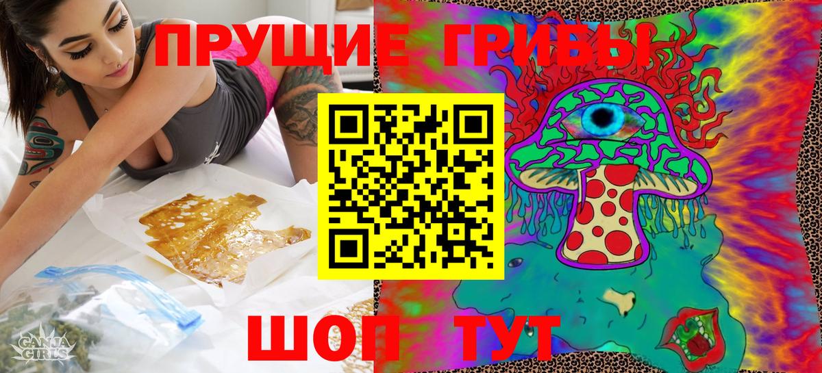 Курганинск  Псилоцибиновые грибы Psilocybine cubensis  Вход с VPN 
