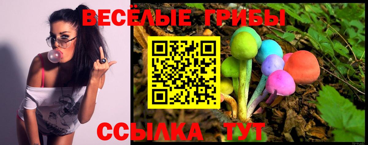 Галлюциногенные грибы GOLDEN TEACHER Курганинск